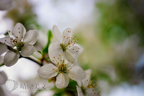 發(fā)現(xiàn)老公背叛，如何巧妙開場(chǎng)談判，捍衛(wèi)婚姻主動(dòng)權(quán)？